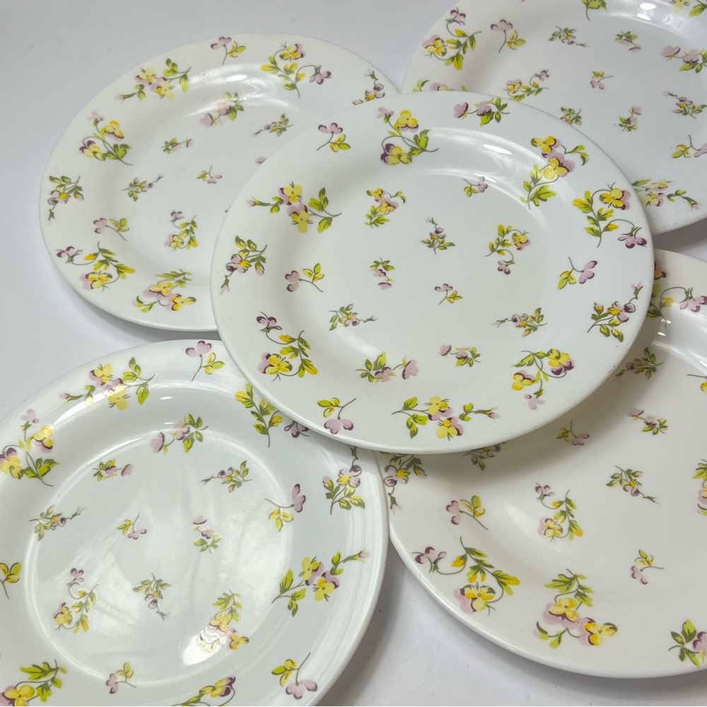 NEW Martha Stewart Everyday  Set of 5 Plates France  7.5”